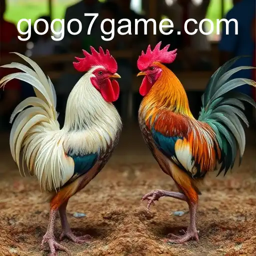 Exploring Sabong Games and the Influence of GOGO7.VIP